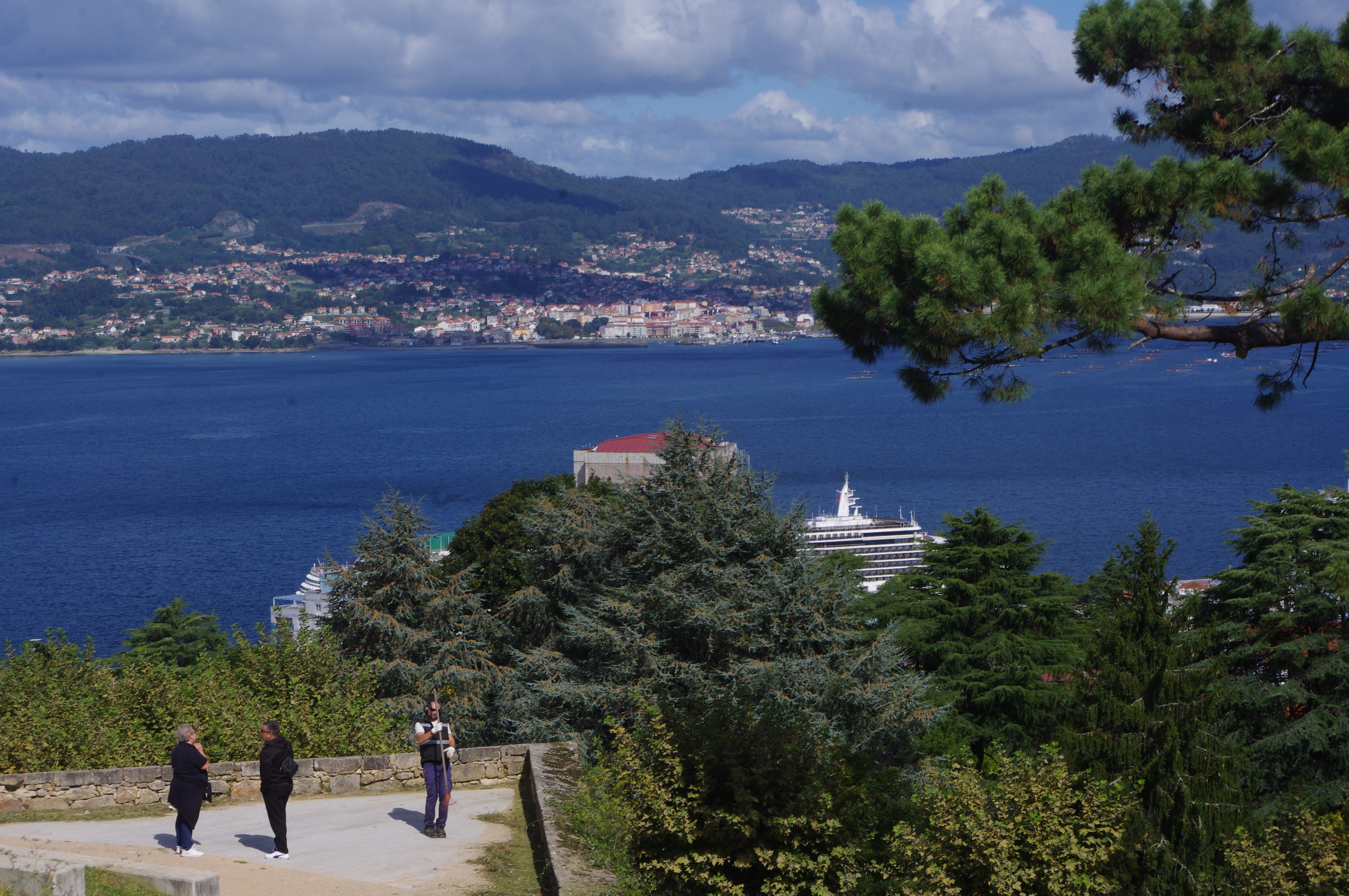 Vigo Harbour